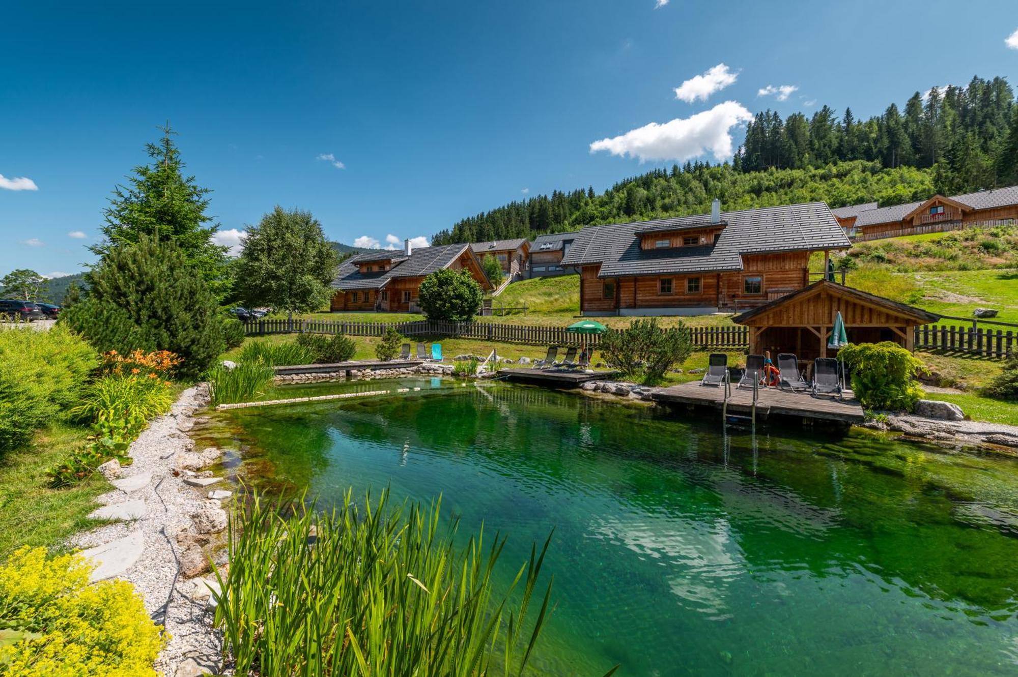 Poolchalet Dachsteinblick Pruggern Eksteriør billede