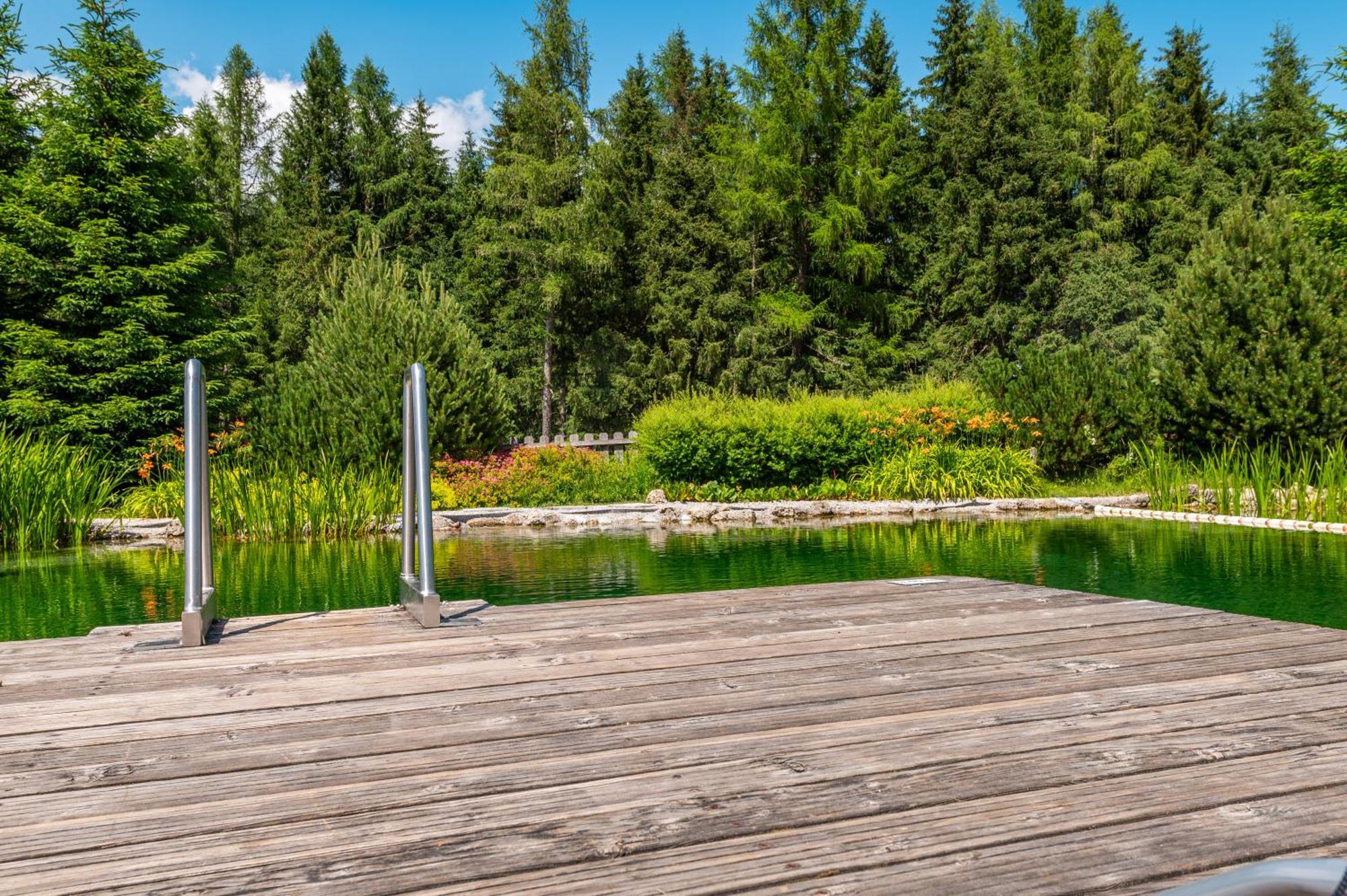 Poolchalet Dachsteinblick Pruggern Eksteriør billede