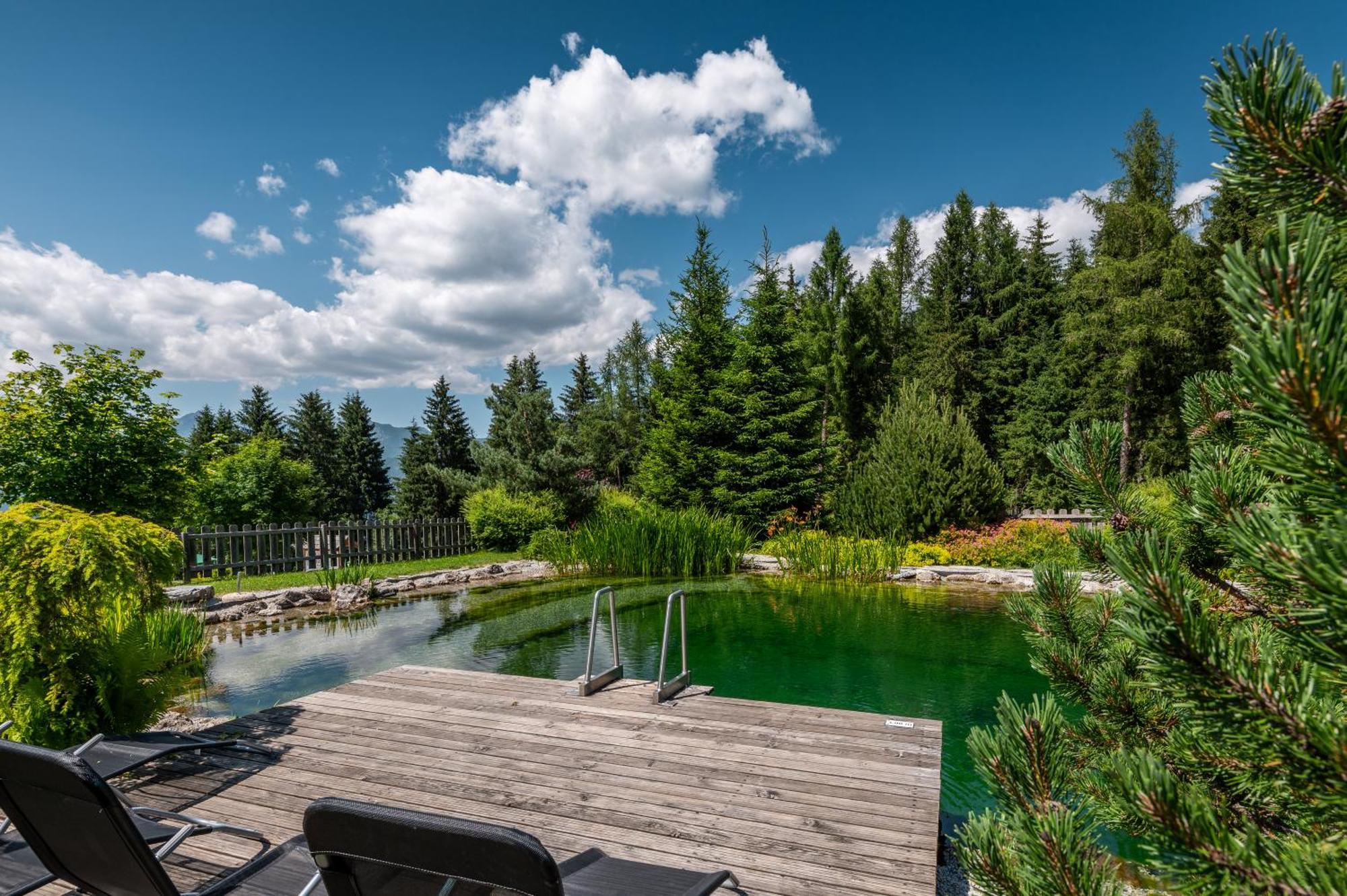 Poolchalet Dachsteinblick Pruggern Eksteriør billede